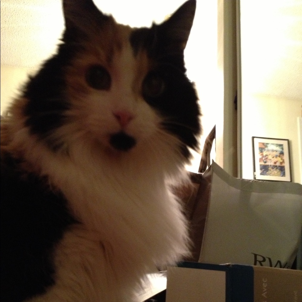 Meet your Posher, Sabrina